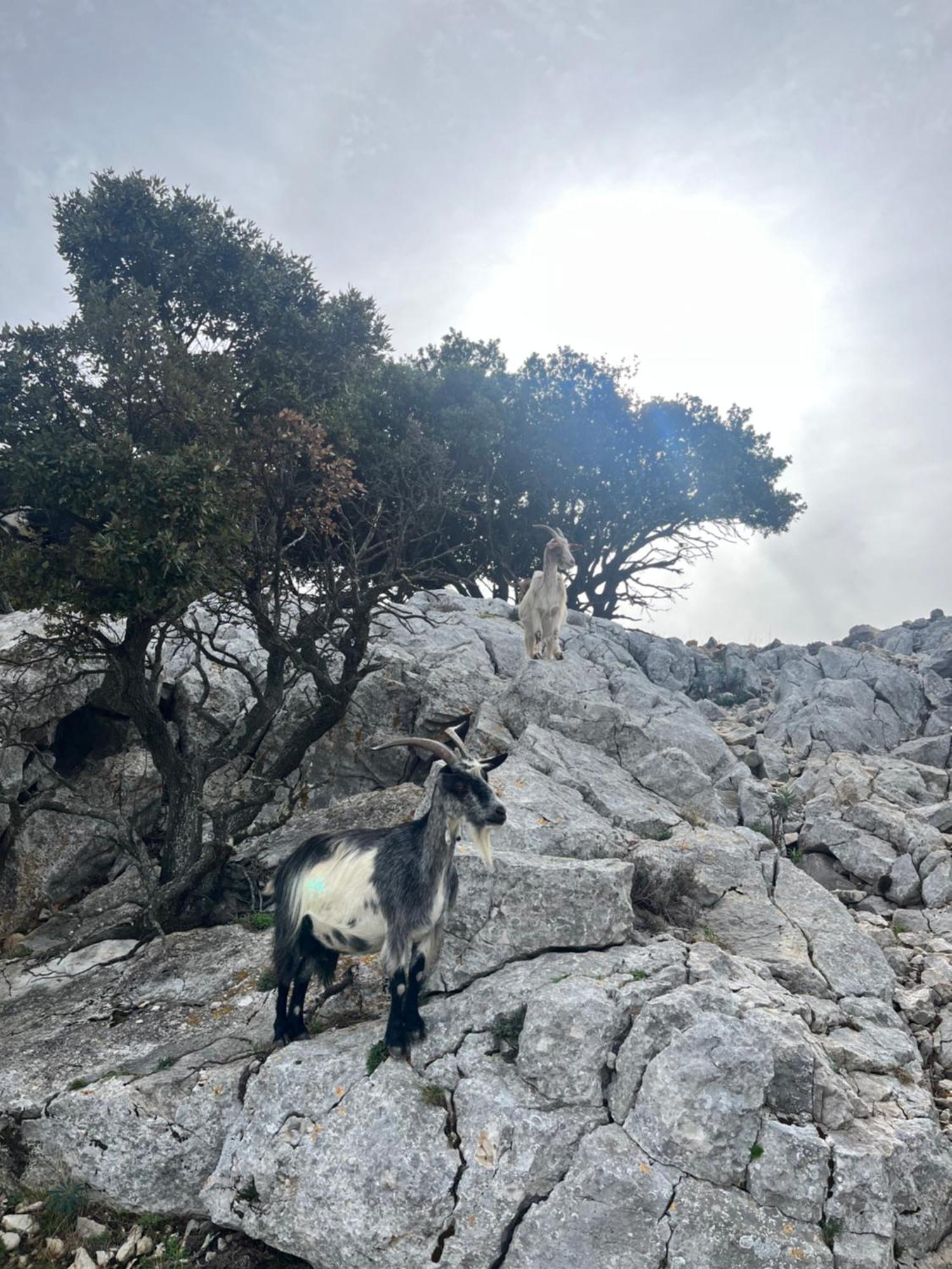 Petit Paradis A Sanary Avec Vue Mer Wifi Et Clim 外观 照片